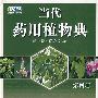 当代药用植物典:第四册