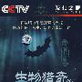 CCTV发现之旅：生物猎奇篇（7DVD）