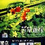 芳草莲檬（4碟装组合）（CD）
