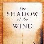 The Shadow of the Wind风影
