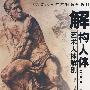 解构人体-艺术人体解剖
