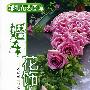 婚礼花艺图库--婚车花饰