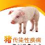 猪传染性疾病快速检测技术