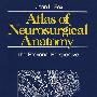 神经系统解剖图谱Atlas of Neurosurgical Anatomy