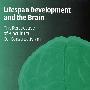 Lifespan Development and the Brain人类发展与大脑