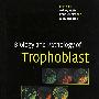 Biology and Pathology of Trophoblast胚胎滋养层生物学和病理学