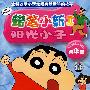 阳光小子精华集：蜡笔小新2（13VCD）