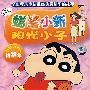 阳光小子精华集：蜡笔小新（26 VCD）