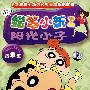 阳光小子精华集：蜡笔小新1（13VCD）