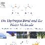 The Hydrogen Bond and the Water Molecule: The Physics and Chemistry of Water, Aqueous and Bio-Media氢键与水分子：水、含水与生物媒介的物理与化学