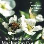 商业营销教程：复杂网络的管理 The Business Marketing Course : Managing in Complex Networks, 2nd edition
