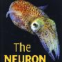 The NEURON Book神经元手册