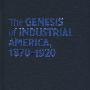 The Genesis of Industrial America, 1870-1920工业美国的开端1870-1920