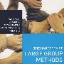 The Handbook of Large Group Methods: Creating Systemic Change in Organizations and Communities大型团队方法手册：组织与社会如何实施系统变革
