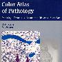Color Atlas of Pathology病理学彩图集