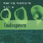 Endosperm胚乳：发育与分子生物学