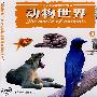 动物世界9(2VCD)
