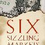 Six Sizzling Markets: How to Profit from Investing in Brazil, Russia, India, China, South Korea, and Mexico六大市场：如何在巴西、俄罗斯、印度、中国、韩国与墨西哥投资中获利