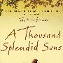 灿烂千阳  A Thousand Splendid Suns