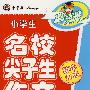 小学生尖子生作文