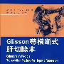 Glisson蒂横断式肝切除术(翻译版/配光盘)