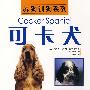 养狗训狗系列——可卡犬