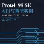 Protel 99 SE入门与典型实例