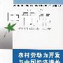 农村劳动力开发与中国经济增长