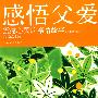 感悟父爱