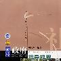 政府指导规程