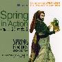 Spring in Action（第二版）中文版