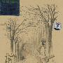 庞龙校花(CD)