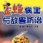 蜜蜂病害与敌害防治
