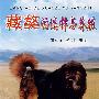 藏獒的选择与养殖