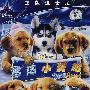 雪地小英雄（DVD）