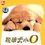 聪明犬小O（DVD-9）