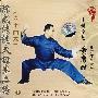 陈式传统太极拳二路(六十四式)上(VCD)