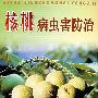 核桃病虫害防治