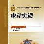 审计实训