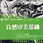 自然审美基础