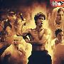 50集电视连续剧:李小龙传奇(8DVD)