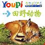 最有创意的youpi儿童小百科第二辑(套装)