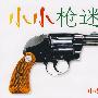 小小枪迷