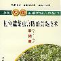 棚室蔬菜虫害防治关键技术