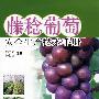 藤稔葡萄安全生产技术手册
