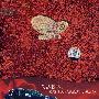 汽车专用：立体特效5（2CD）