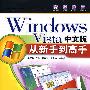 Windows Vista中文版从新手到高手（配光盘）