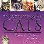 动物百科:猫Eneycopedia