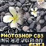 PHOTOSHOP CS3图层通道 蒙版和动作技术详解（附光盘）