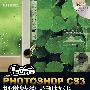 PHOTOSHOP CS3视觉特效表现技法（附光盘）